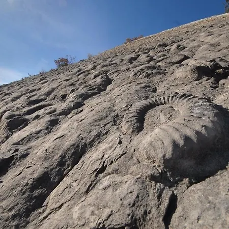 Entier Ideal Vtt Apartman Digne-Les-Bains